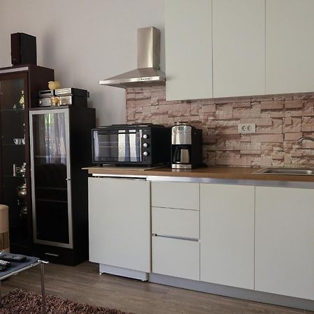 Cozy Spacious Apartment Peja Kültér fotó